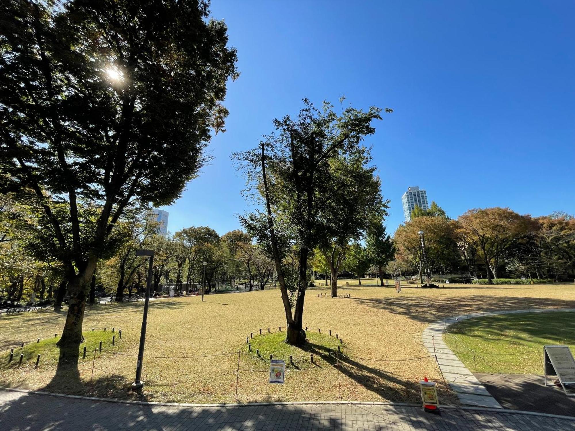 Max4People Shinjuku 7Minutes Shibuya12 Minutes 5Minutes Walk From Hatsudai Station Leon Resort Shibuya Токио Екстериор снимка